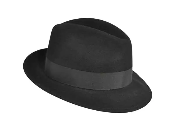 Bailey Blixen Fedora Hat 2X