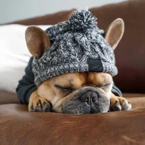 Dog Beanie Hat