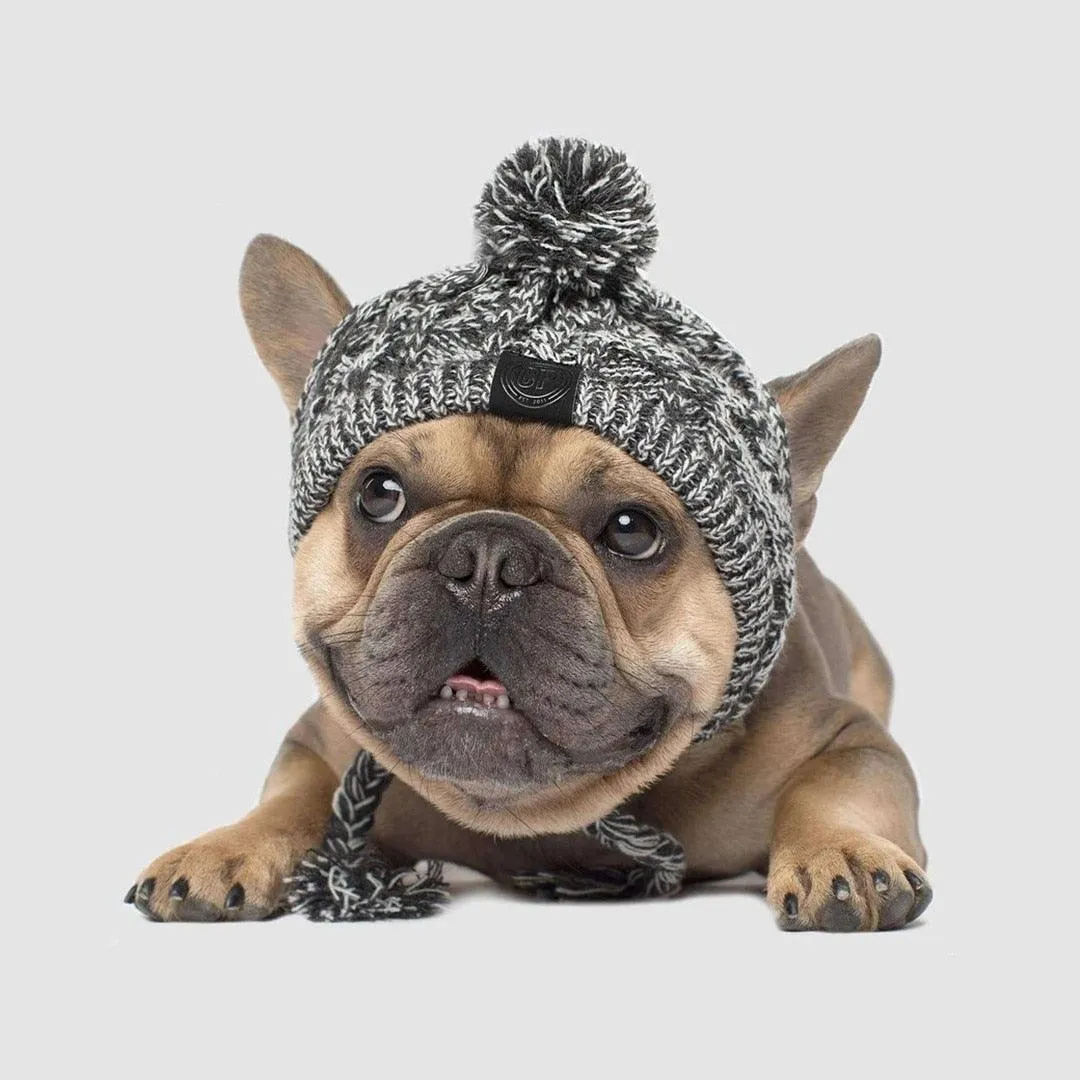 Dog Beanie Hat