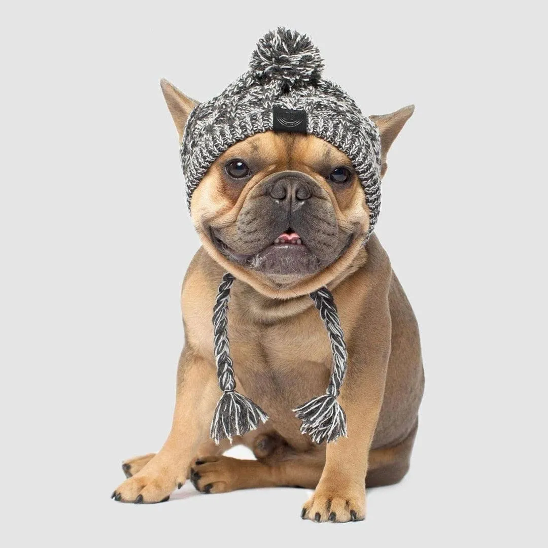 Dog Beanie Hat