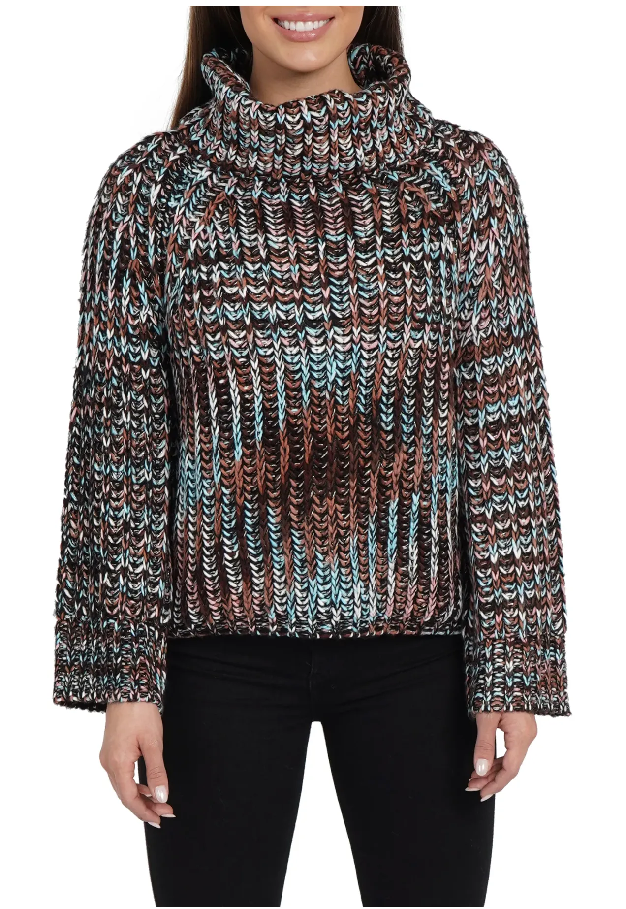 Mimi Chunky Multi Color Turtleneck Sweater