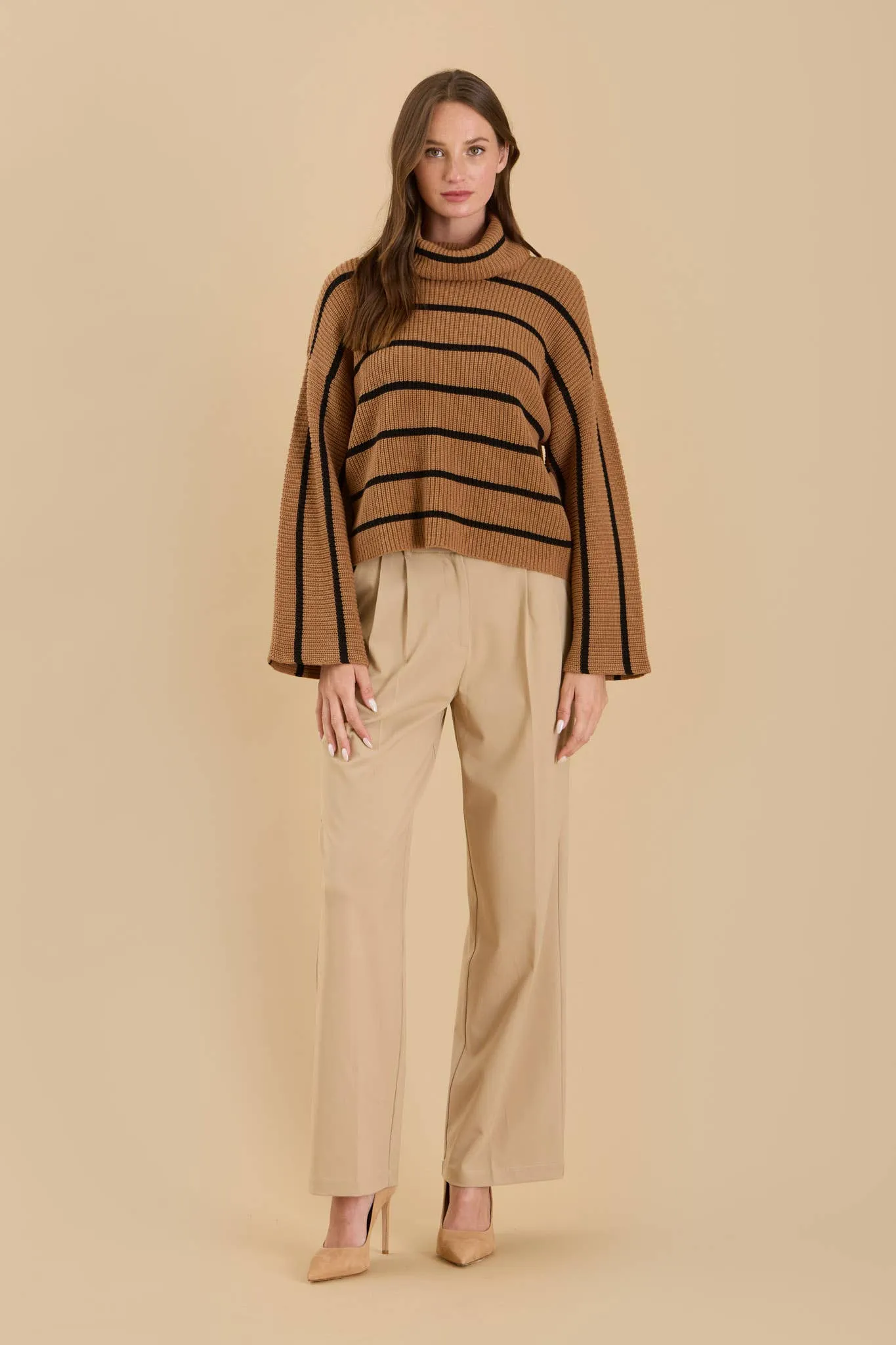 Stripe Crop Turtleneck